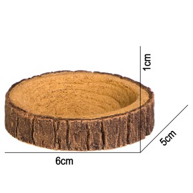 Terrario Tree Ring Bowl XS